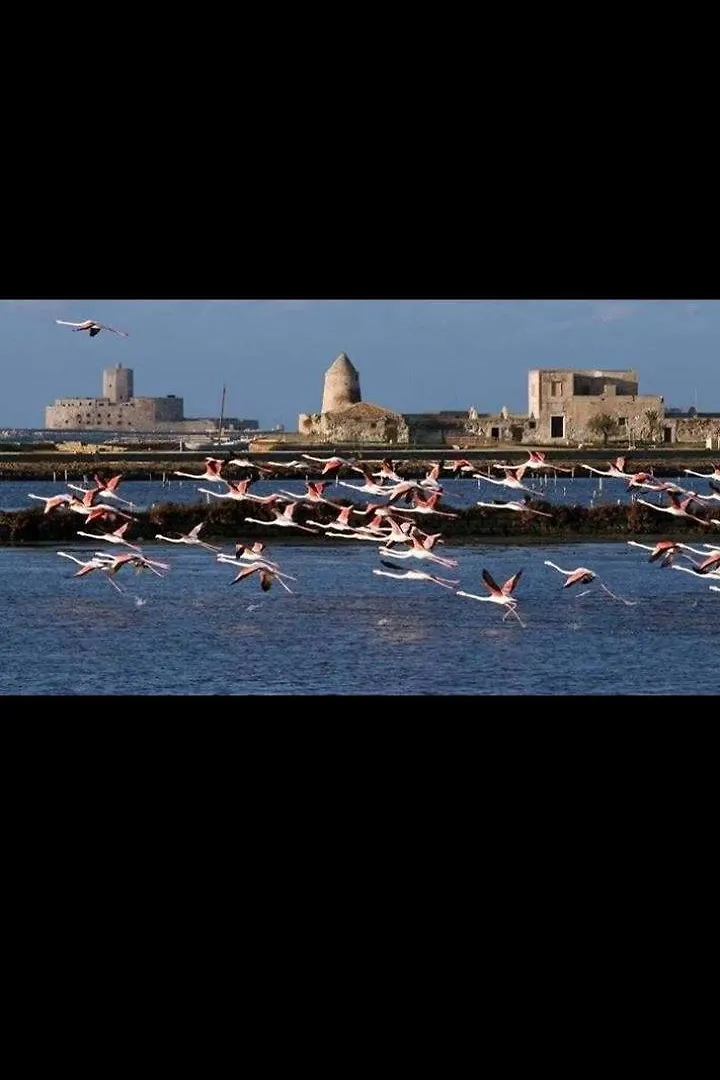 Апартаменты Casa Dello Scoglio Nel Mare Пачеко